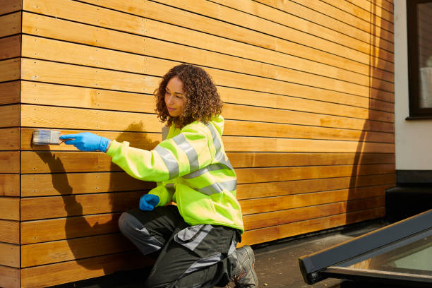 Best Siding Painting and Refinishing  in Lawson, MO